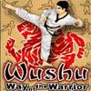 Вушу Путь Воина / WUSHU - Way Of The Warrior