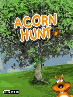 Java игра Acorn Hunt. Скриншоты к игре Охотник за Орешками