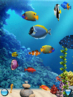 Java игра AquaSim 3D. Скриншоты к игре АкваCим 3D