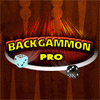 Профессиональные нарды / Backgammon pro