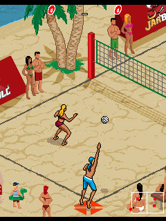 Java игра Beach Volleyball. Скриншоты к игре Пляжный Волейбол