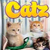 Игра на телефон Котята / Catz
