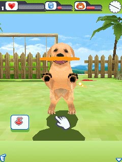Java игра Dogz 3D. Скриншоты к игре Собачки 3D