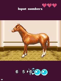 Java игра Horse Riding Academy. Скриншоты к игре Академия Конного Спорта