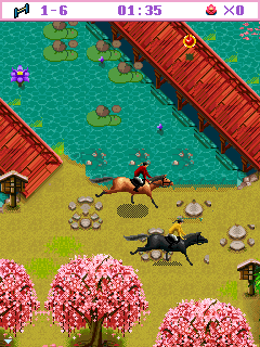 Java игра Horse Riding Academy. Скриншоты к игре Академия Конного Спорта