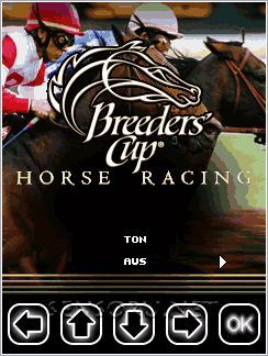 Java игра Horse racing. Скриншоты к игре 