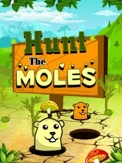 Java игра Hunt The Moles. Скриншоты к игре Охота на Кротов