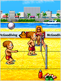Java игра Playman. Beach Volley. Скриншоты к игре Playman. Пляжный волейбол