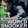 Игра на телефон Ronnie O Sullivans World Snooker 2010