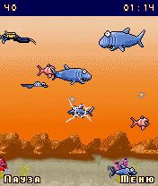 Java игра Shark Fishmageddon: Close Water. Скриншоты к игре Рыбный Адмагеддон: Закрытые Воды
