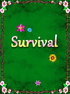 Java игра Survival. Скриншоты к игре Выживание