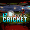 Игра на телефон T20 Cricket 2012
