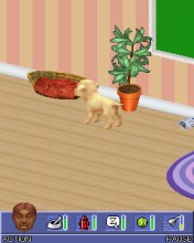 Java игра The Sims 2 Pets. Скриншоты к игре 