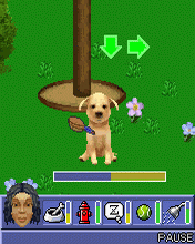 Java игра The Sims 2 Pets. Скриншоты к игре 