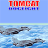 Игра на телефон Tomcat Dogfight
