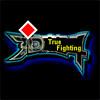 Игра на телефон True Fighting 3D