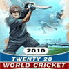 Игра на телефон Twenty World Cricket 2010