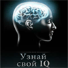 Узнай свой IQ / IQ
